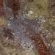 False-color satellite image of El Paso, Texas image - Free stock photo - Public Domain photo ...