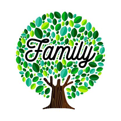 Family Tree Concept Illustration For Genealogy Stock Illustration ...