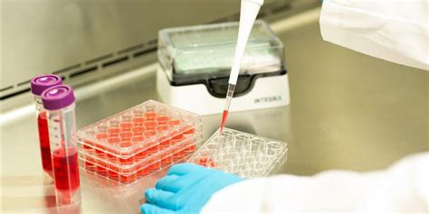 Introduction to cell culture techniques & challenges | INTEGRA