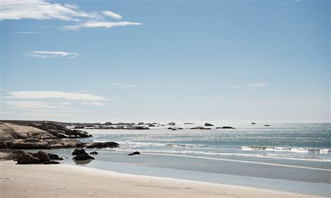 Paws in Paternoster: A Pet-Friendly Winter Stay at Gonana | Crush