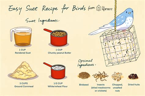 Simple Homemade Suet Recipe for Birds