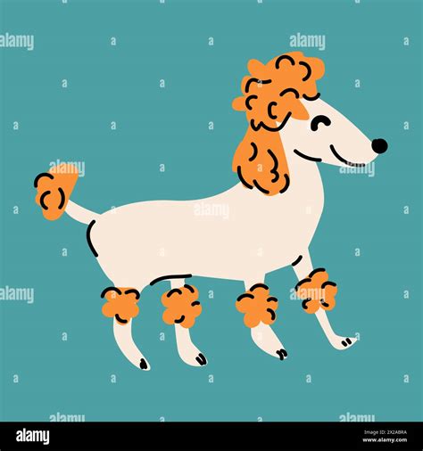 Cute dog, puppy - poodle breed. Canine animal, big dog. Flat vector illustration of poodle can ...