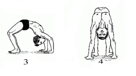 Chakrasana {Wheel Pose}-Steps And Benefits - Sarvyoga | Yoga