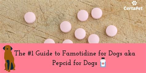 The #1 Guide to Famotidine for Dogs aka Pepcid for Dogs | CertaPet