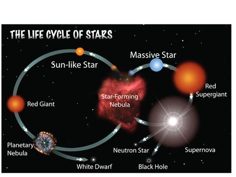 Life Cycle of Stars | Earth and space science, Astronomy facts, Space ...