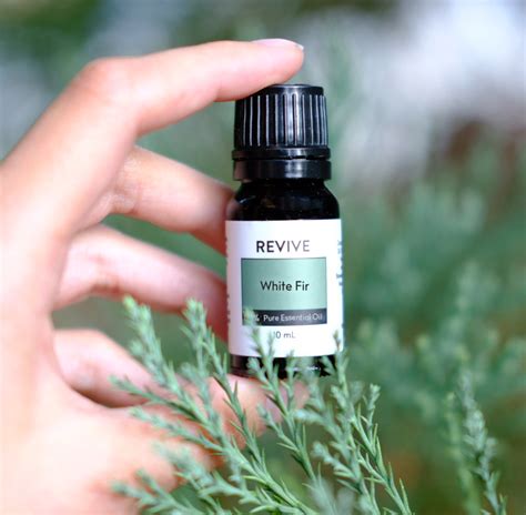 White Fir - REVIVE Essential Oils