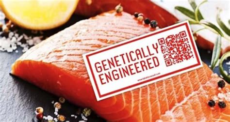 U.S. Senate’s GMO Salmon Labeling Act To Support And Pass Into Law