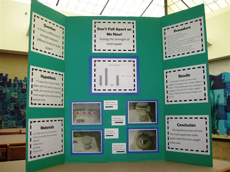 10 Famous Science Project Display Board Ideas 2024