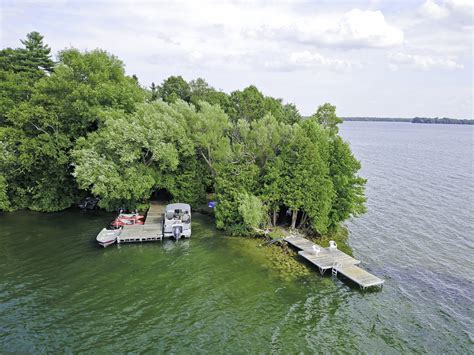 This island cottage just sold for $550,000. It's got a fully powered treehouse