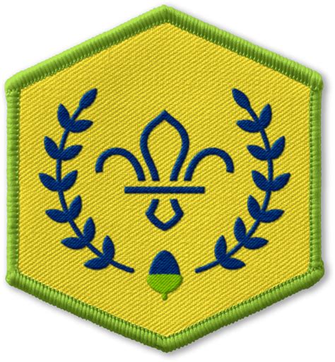 Chief Scout’s Acorn Award | Scouts