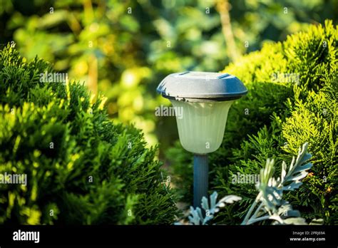 Beautiful Small Solar Garden Light, Lanterns In Flower Bed. Garden ...