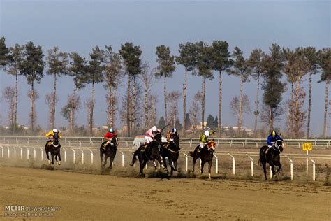 Mehr News Agency - Horse-riding competitions in Gonbad