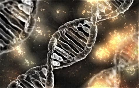 Cytogenetics | What is, what does it study, history, uses | Conventional, clinic