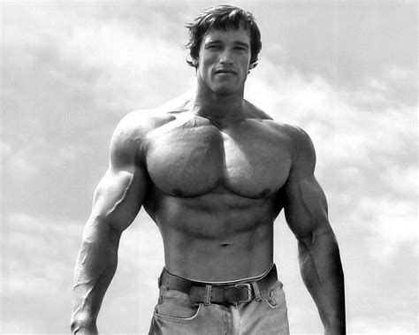 Arnold Schwarzenegger Bodybuilding Wallpapers - Top Free Arnold ...