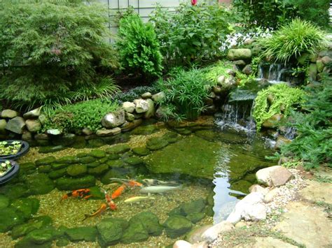 Koi Ponds Don’t Need to Look Like Black Liner Pools | Fish pond gardens ...