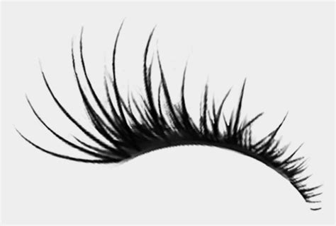 Eyelash Sticker - Transparent Eye Lash Clipart, Cliparts & Cartoons - Jing.fm | Eye lash clipart ...