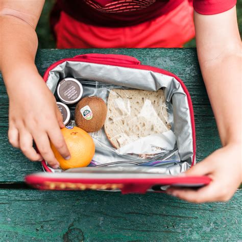 Lunch Boxes - Safely Transport & Preserve Food Away From Home - amatemoto.com