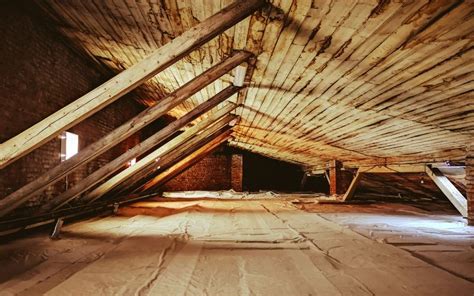 Attic Mold Removal: Costs, Risks, and Prevention