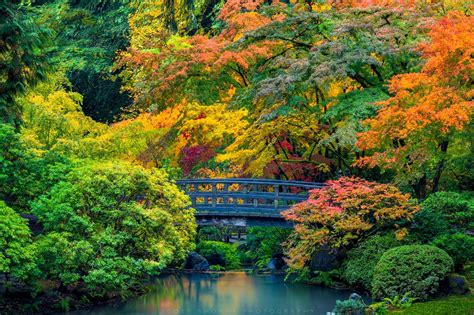 Portland Japanese Garden Calendar - Siana Annabal