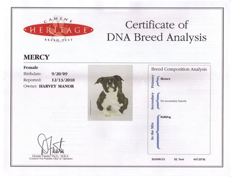 Dna Test For Dogs - Dog Training Home | Dog Types