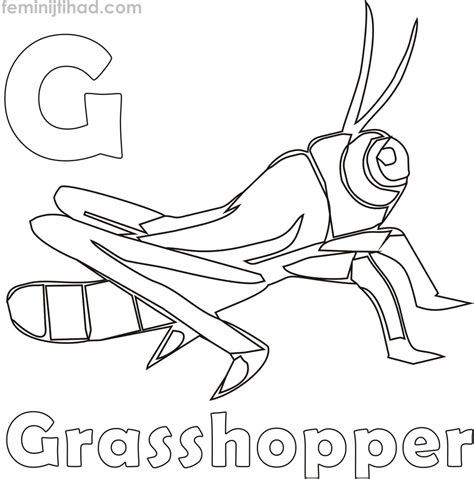 G for Grasshopper Coloring Pages PDF - Coloringfolder.com | Animal coloring pages, Coloring ...