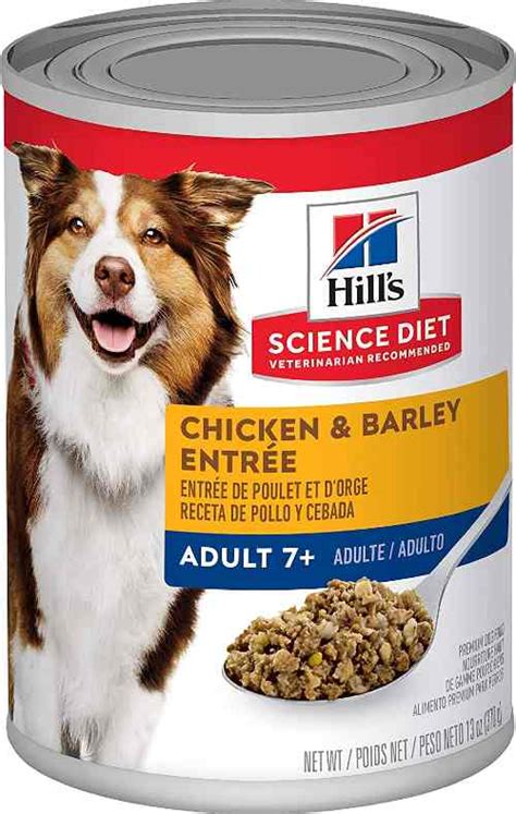 Vet Recommended Dog Food 2025 - Dorothy Nash