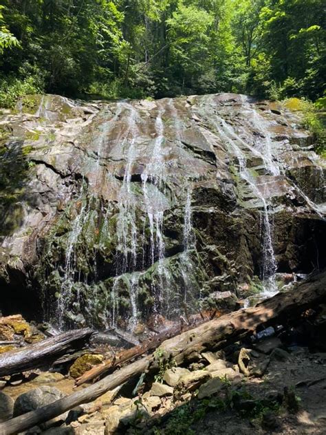 11 Top Hiking Trails near Boone NC