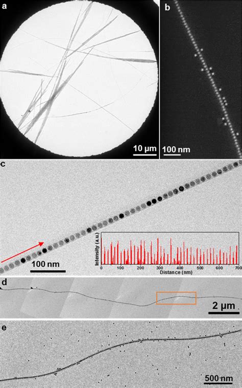 (a) Low-magnification TEM image of the product selfassembled from 15 nm ...