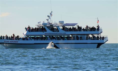 Island Adventures Whale Watching in Port Angeles, WA | Groupon