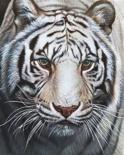 White Tiger Painting by Kemal Sabilla Rusdiantama | Saatchi Art