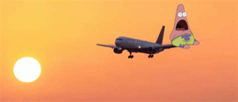 The popular Airplane GIFs everyone's sharing