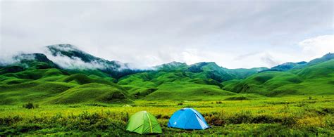 Book 4 Days Dzukou Valley Trekking Tour at Best Price