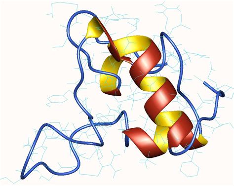 Blood Proteins; Plasma Proteins; Serum Proteins