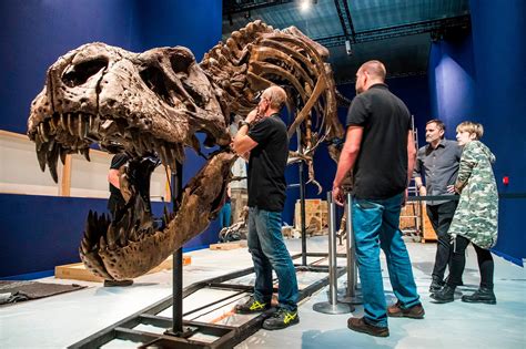 The Best Dinosaur Museums in the World | Reader's Digest