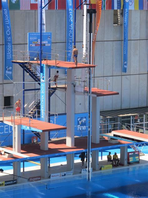 The Different Types Of Diving Boards – DesertDivers