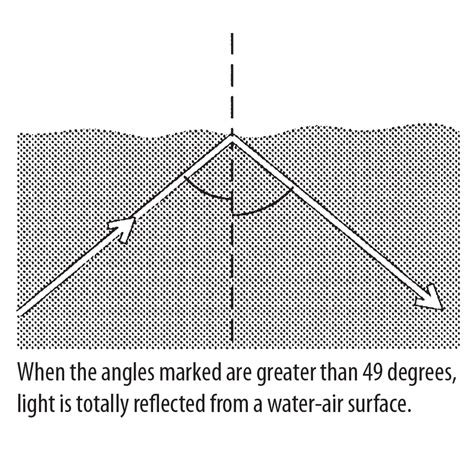 Critical Angle: Reflection, Light & Refraction Science Activity | Exploratorium Teacher ...