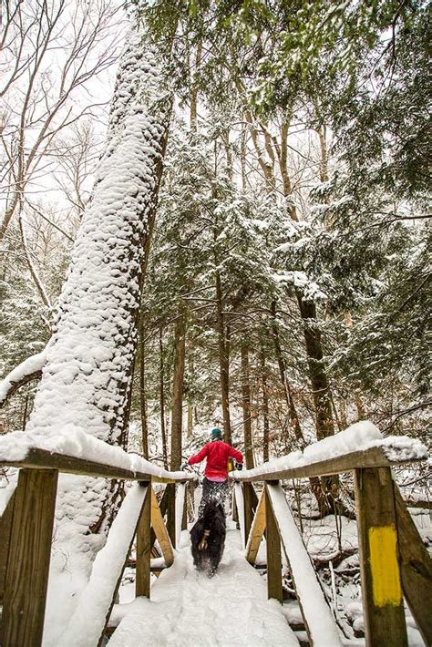 Allegheny National Forest Hiking Trails — Allegheny Outfitters