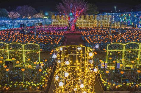 Ashikaga Flower Park Illumination 2020 In Japan Is A Sight To Behold