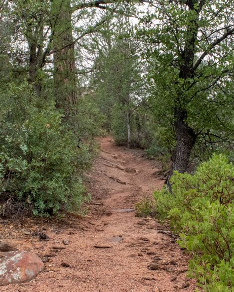 Hiking Trail Payson AZ | Hike adventure, Trail, Hiking trails