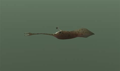 3D tullimonstrum fossil model - TurboSquid 1652846