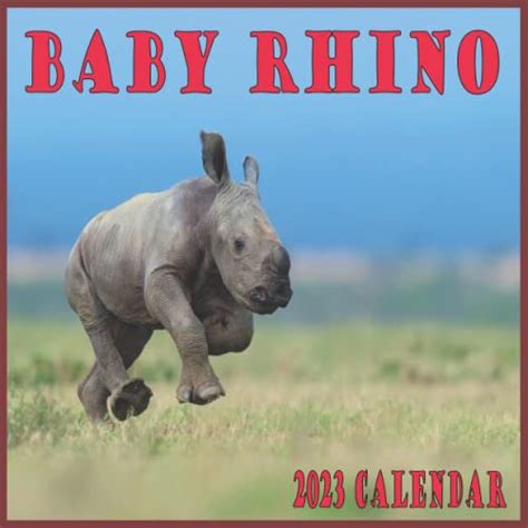 Baby Rhino Calendar 2023: Calendar 2023-2024 16 month Perfect Calendar ...