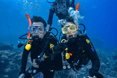 From Cairns: Great Barrier Reef Snorkeling Trip with Lunch | GetYourGuide