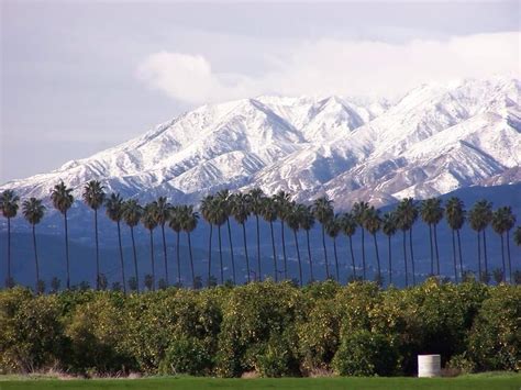 Winter in Redlands, Ca | San bernardino mountains, Redlands california ...