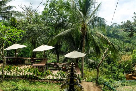 A Guide To The Bali Swing Ubud - Explore Shaw