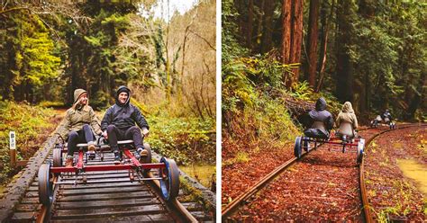 These Rail Bike Tours Let You Pedal Through The Redwood Forest In ...