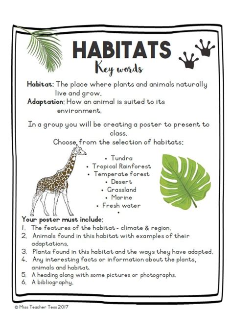 Habitat Project | Habitats projects, Habitats, Homeschool science