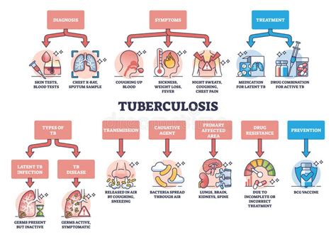 Key Aspects of Tuberculosis or TB Respiratory Lung Disease Outline ...