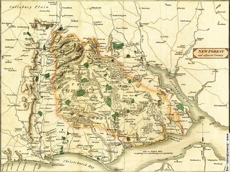 FOBO - Map of the New Forest and Adjacent Country