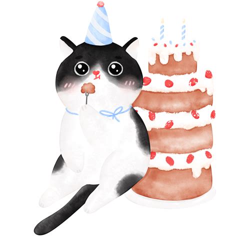 Happy Birthday Cat Funny Cake