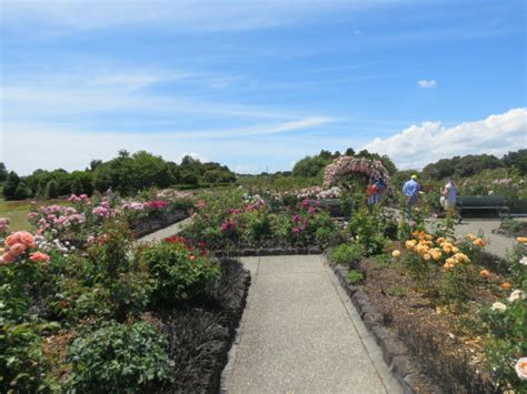 Auckland Botanic Gardens - The New Zealand Rose Society